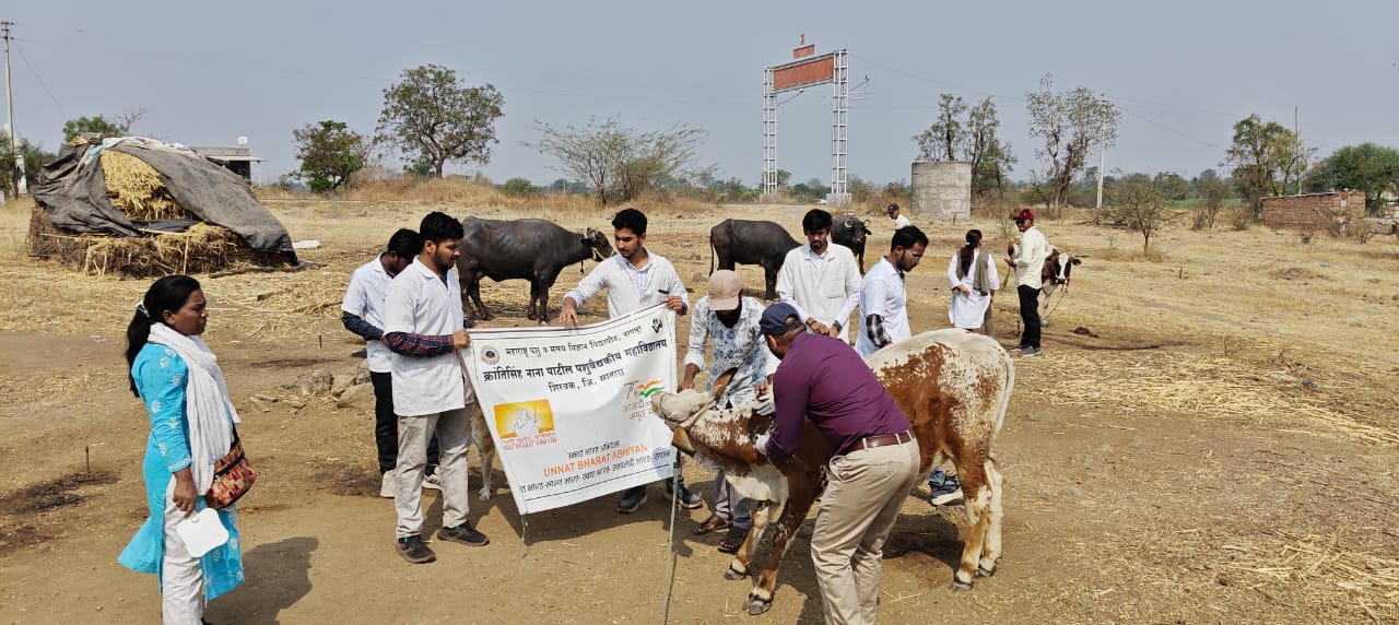 Animal Vaccination Camp 3